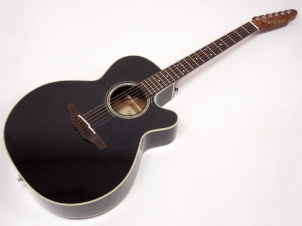 TAKAMINE タカミネ TDP500-6 / BL | ワタナベ楽器店 大阪店