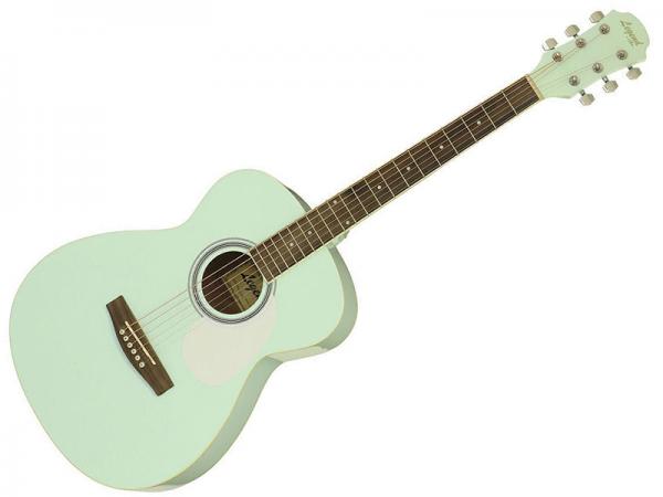 Legend レジェンド FG-15 SFGR アコースティックギター 初心者 入門に