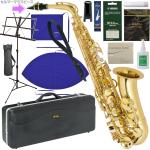 Antigua アンティグア AS2800 エルドン アルトサックス ラッカー