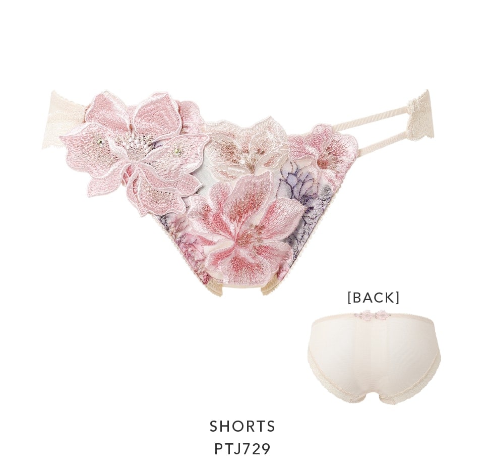 Salute（サルート）｜ 29グループ ｜ セクシー下着