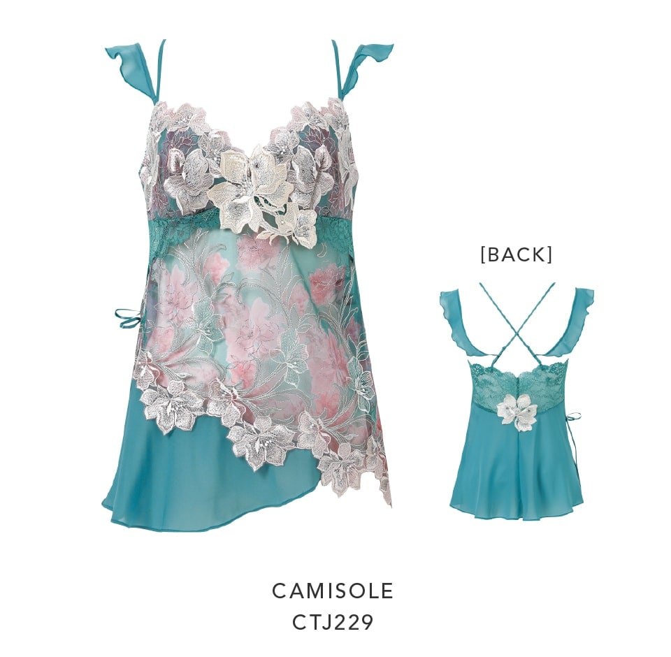 Salute（サルート）｜ 29グループ ｜ セクシー下着