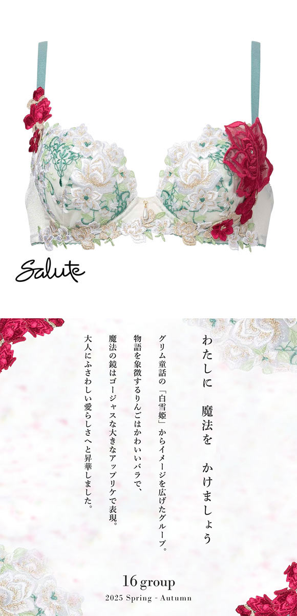 ワコール サルート 16グループ 16G P-UP ブラジャー プッシュアップ