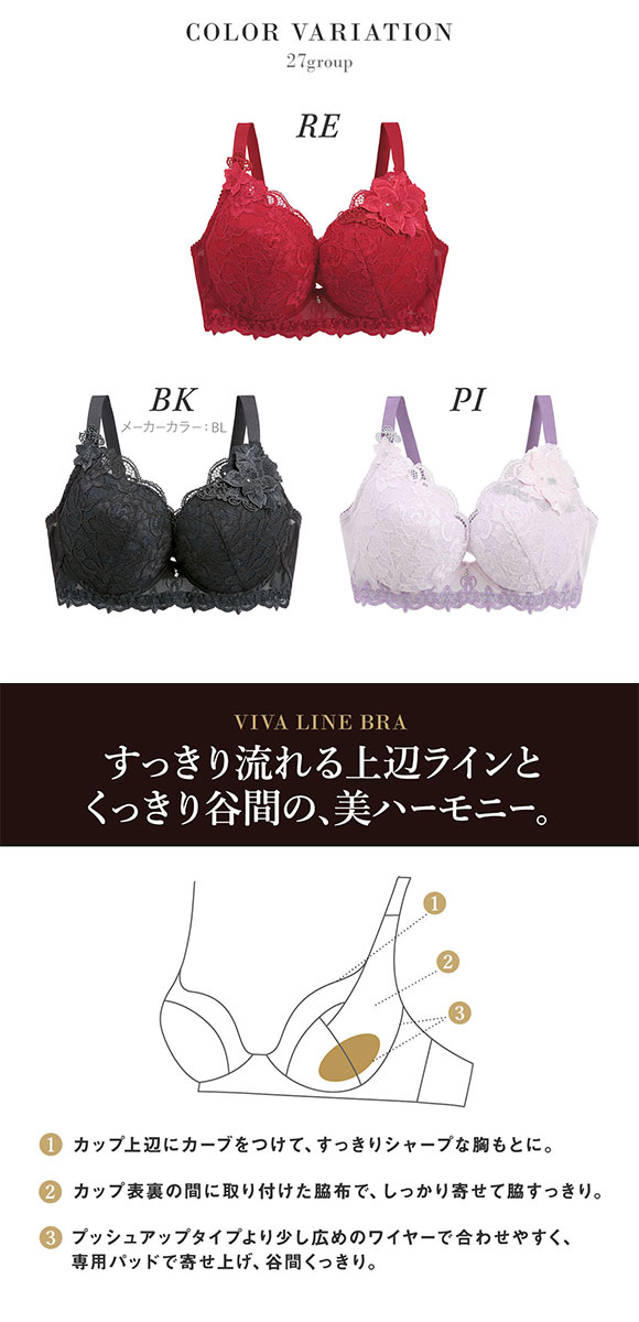 ワコール サルート 27グループ 27G VIVA LINE ブラジャー G ビバライン