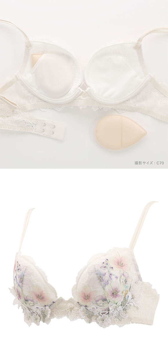 ワコール フロントエックスプラスブラ プレミアム 17series BXD717 17G