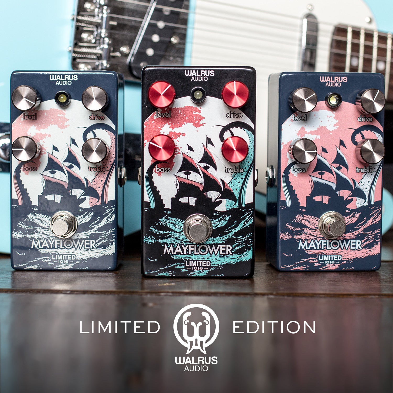 Limited Edition Mayflower