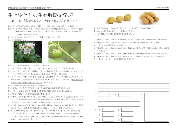 NN志望校別コース（後期） 慶應義塾普通部クラス 小6 | オプション