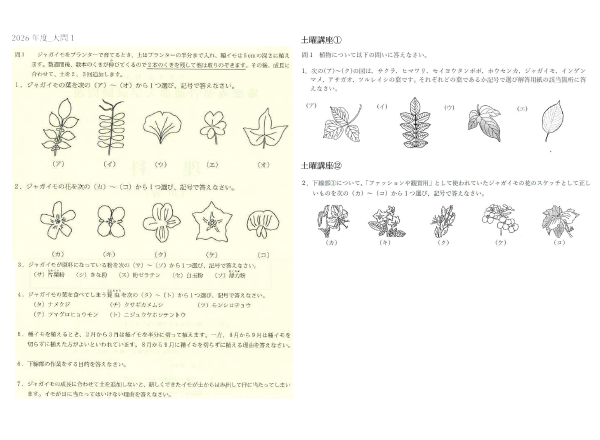 NN志望校別コース（後期） 慶應義塾普通部クラス 小6 | オプション