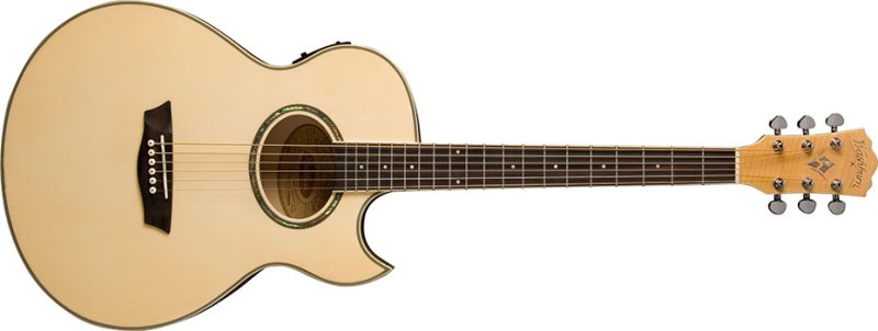 EA20 | Washburn Guitars