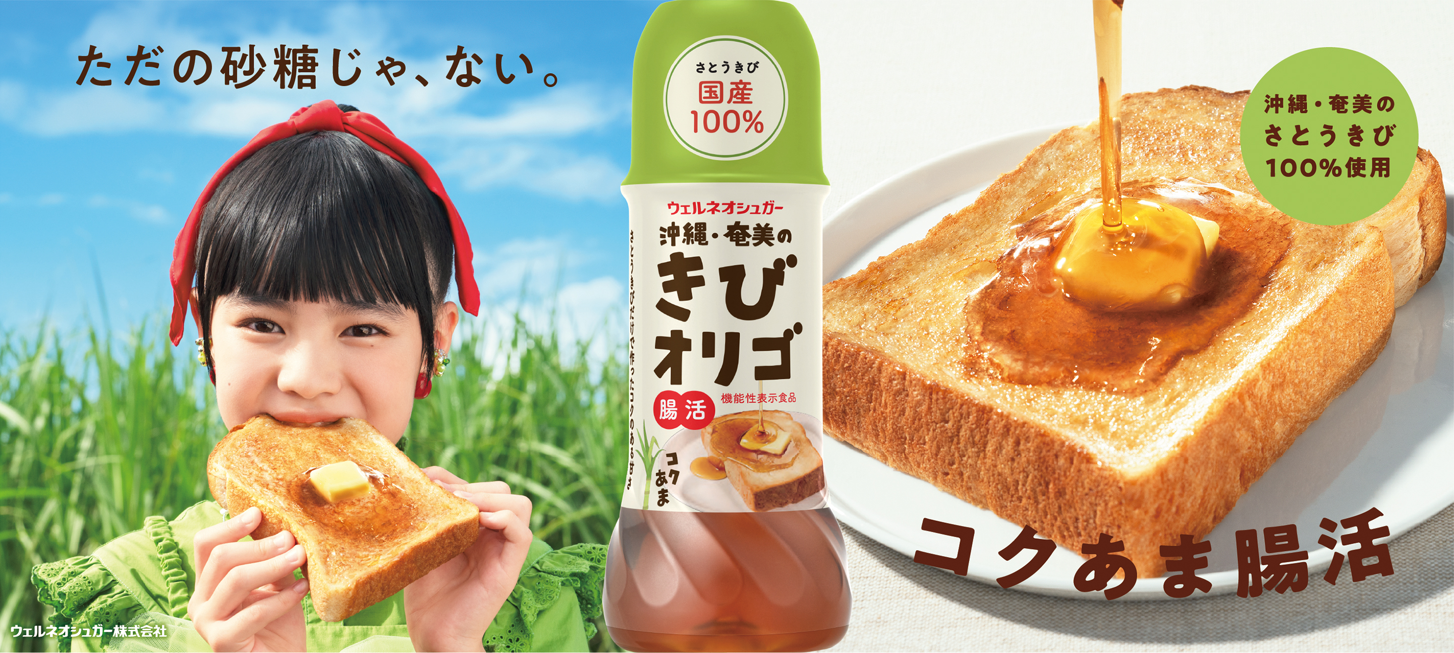 きびオリゴ｜ウェルネオシュガー