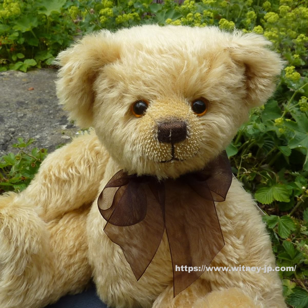 ディーンズ teddy chipper テディチッパー テディベアオブウィットニー