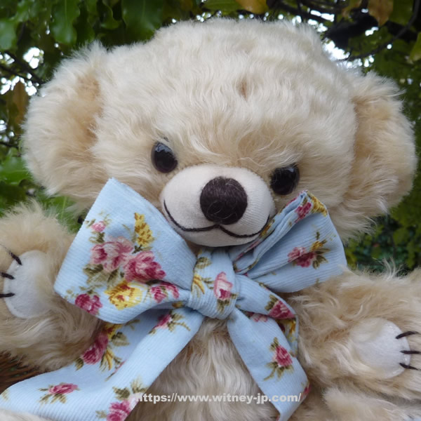 メリーソート チーキーカントリーローズ チーキー、パンキー