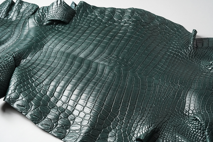 色とりどりのマイクロマルチケース | WILDSWANS(ワイルドスワンズ