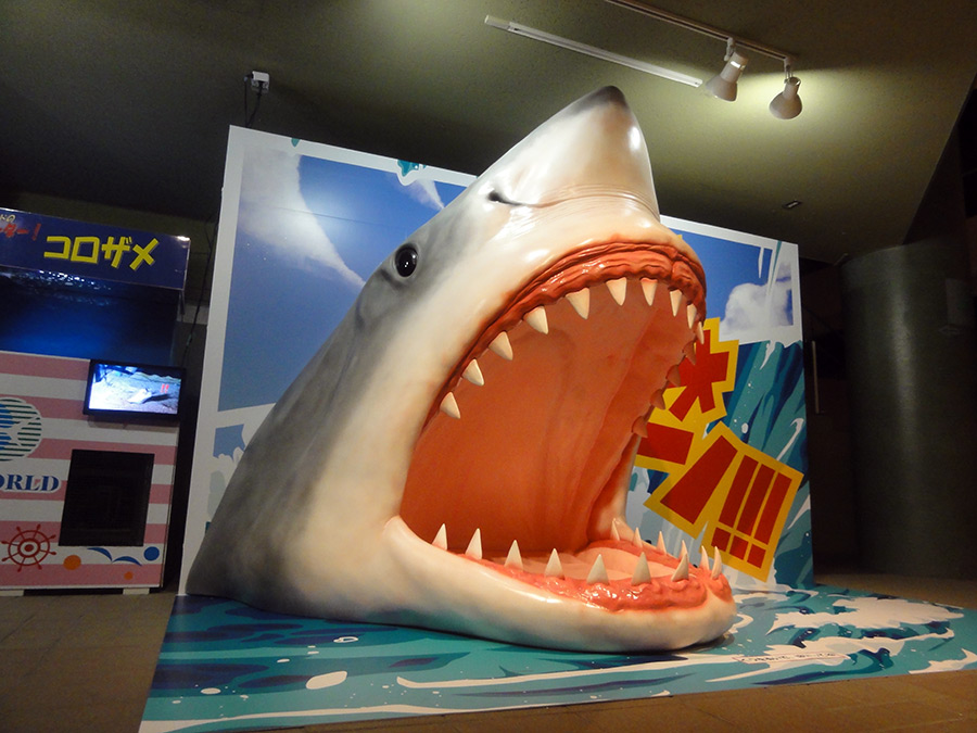 サメの立体造形（フォトスポット）の製作事例｜有限会社ティーアンドティー