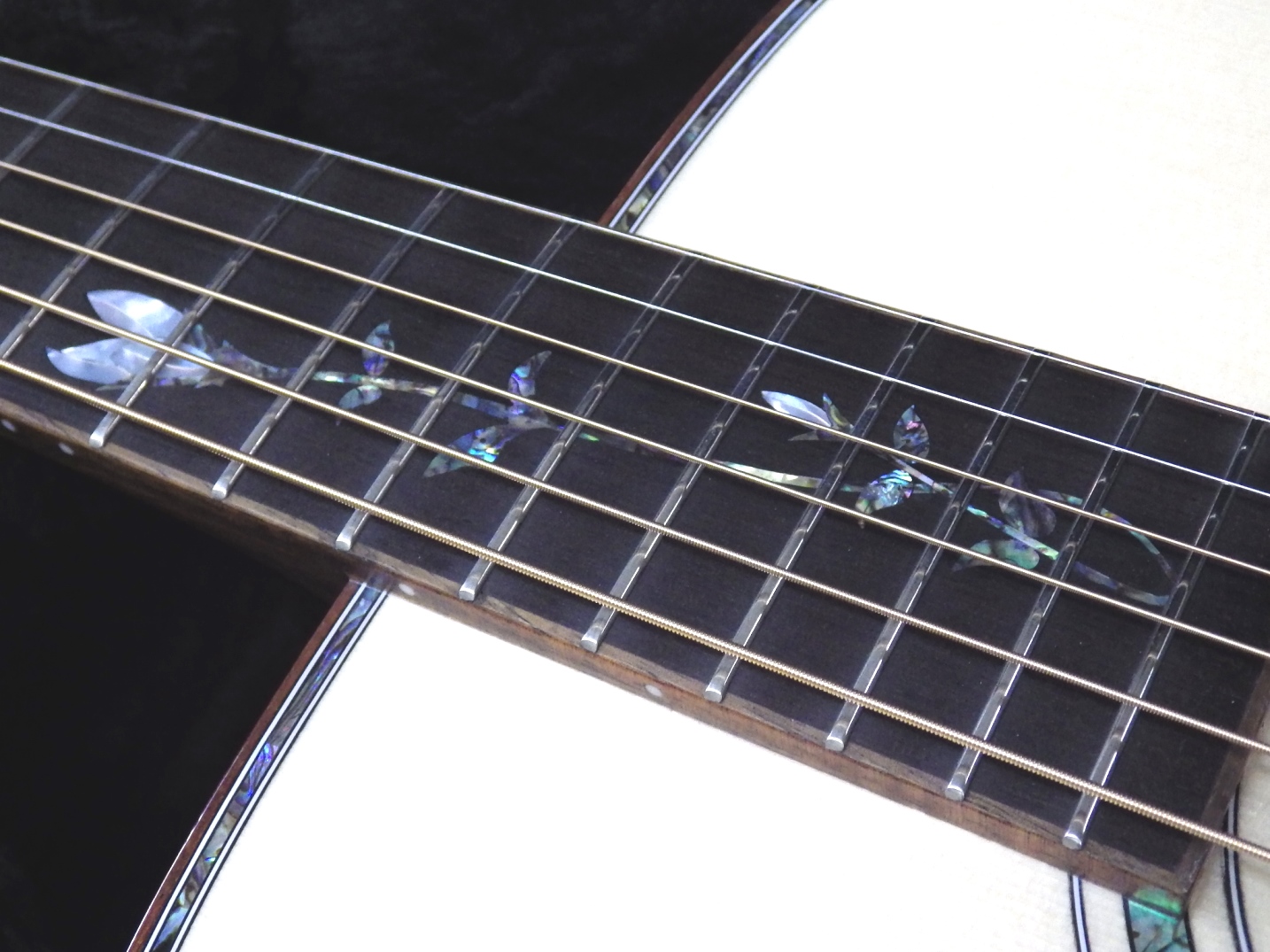 製作本数僅か5本 日本製 新品 Morris モーリス オール単板