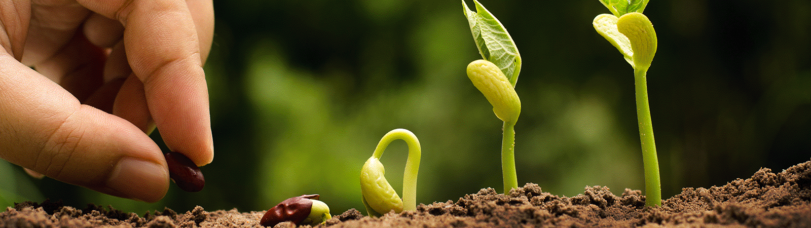 ヒフクUピン | 東都興業株式会社