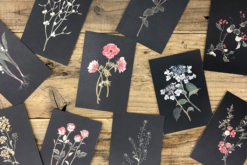 ポストカード〔アート タッチ〕 sasaki megumi 花柄｜タッチアンド