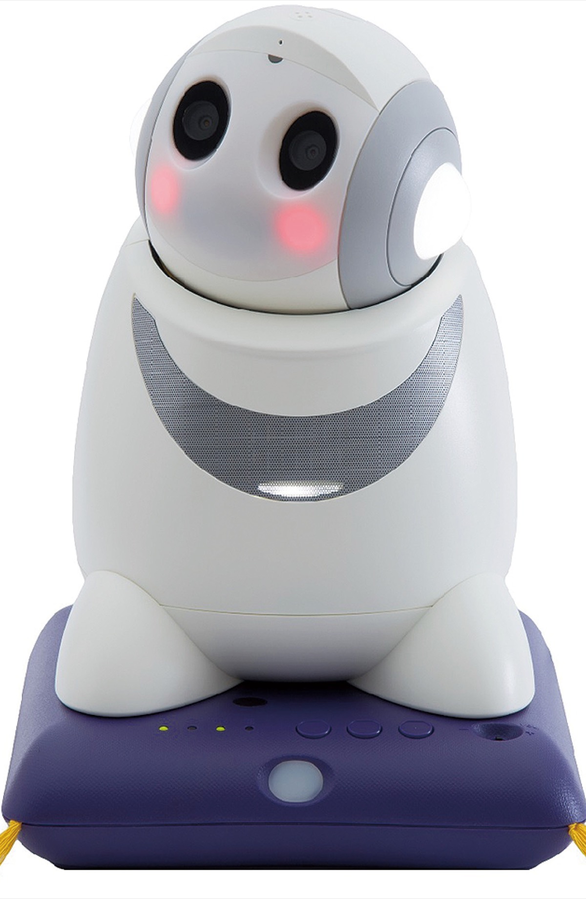 愛川町 見守りにAIロボット 導入見据え実証実験 | 厚木・愛川・清川