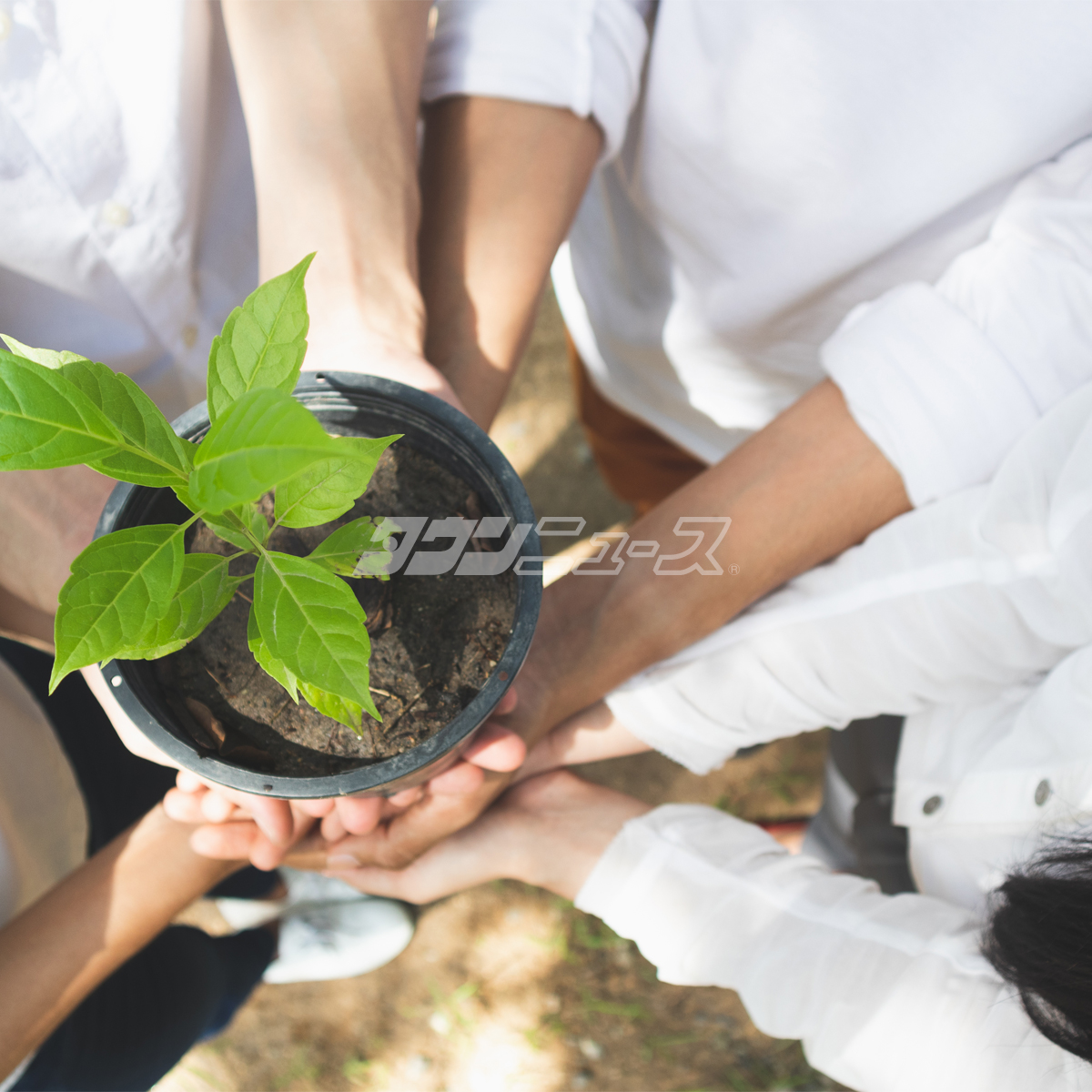 瀬尾一嘉さん油絵展 25日まで 鎌倉芸術館 | 鎌倉 | タウンニュース