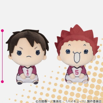 玩具小国トイジャック | ◇ハイキュー!! もちぴこぬいぐるみ 8【入荷済】