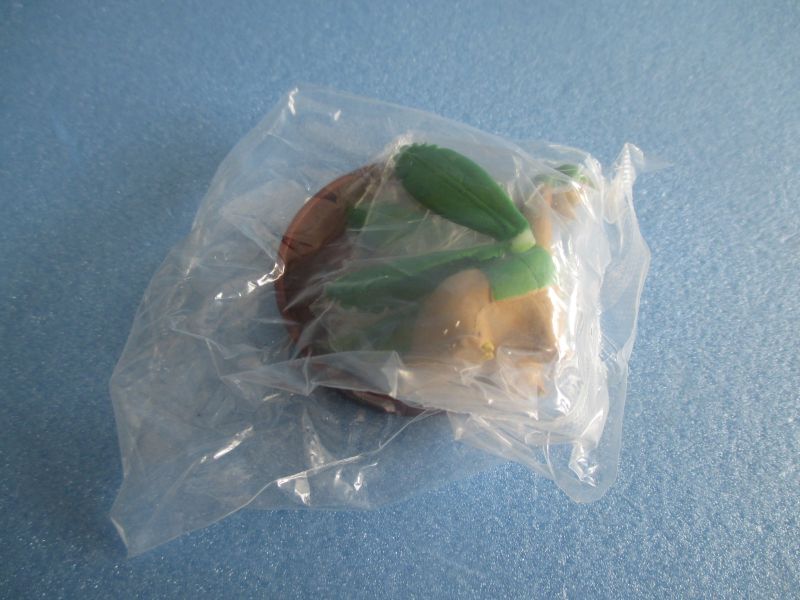 ポケットモンスター[立体ポケモン図鑑 第6集 トロピウス]Pokemon [3D