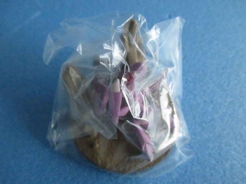 ポケットモンスター[立体ポケモン図鑑 BW05 ゲノセクト]Pokemon [Three