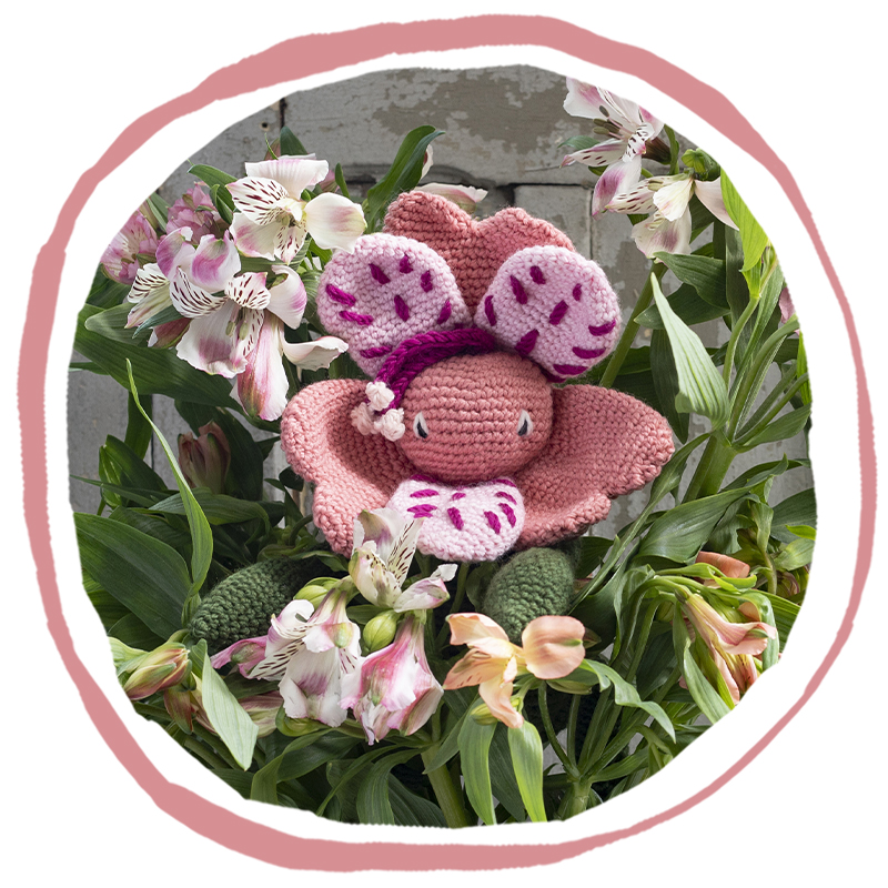 Alstroemeria Flower | Alexandra's Garden by Kerry Lord