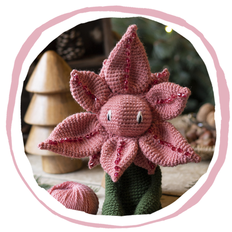 Poinsettia Flower | Alexandra's Garden by Kerry Lord