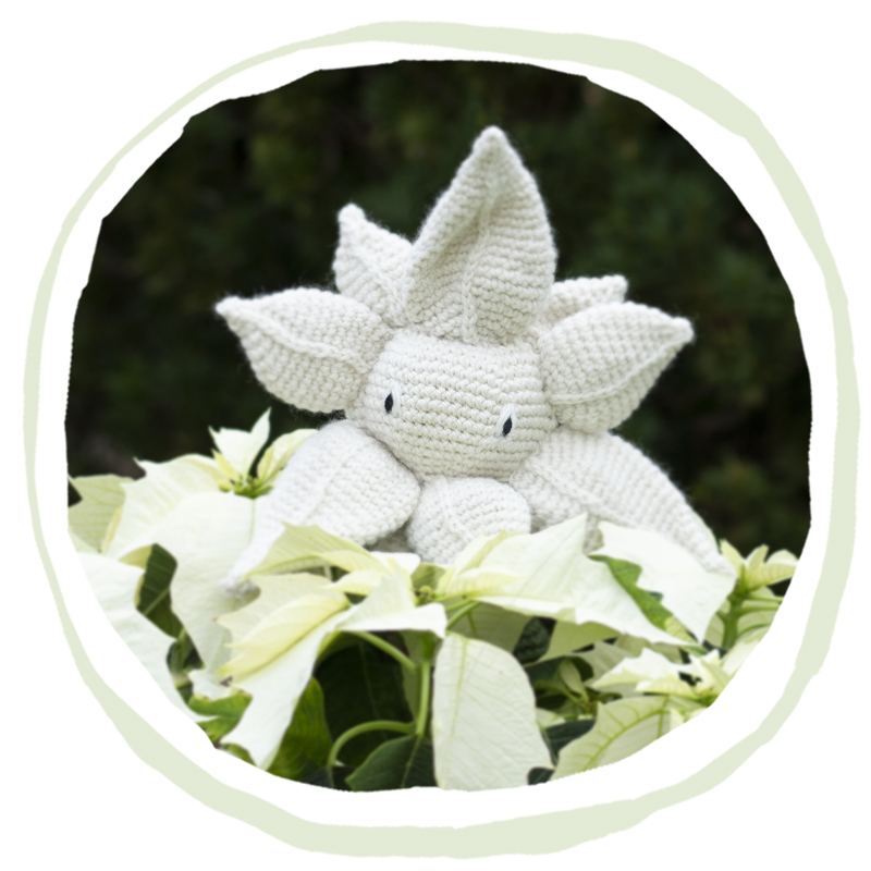 Poinsettia Flower | Alexandra's Garden by Kerry Lord