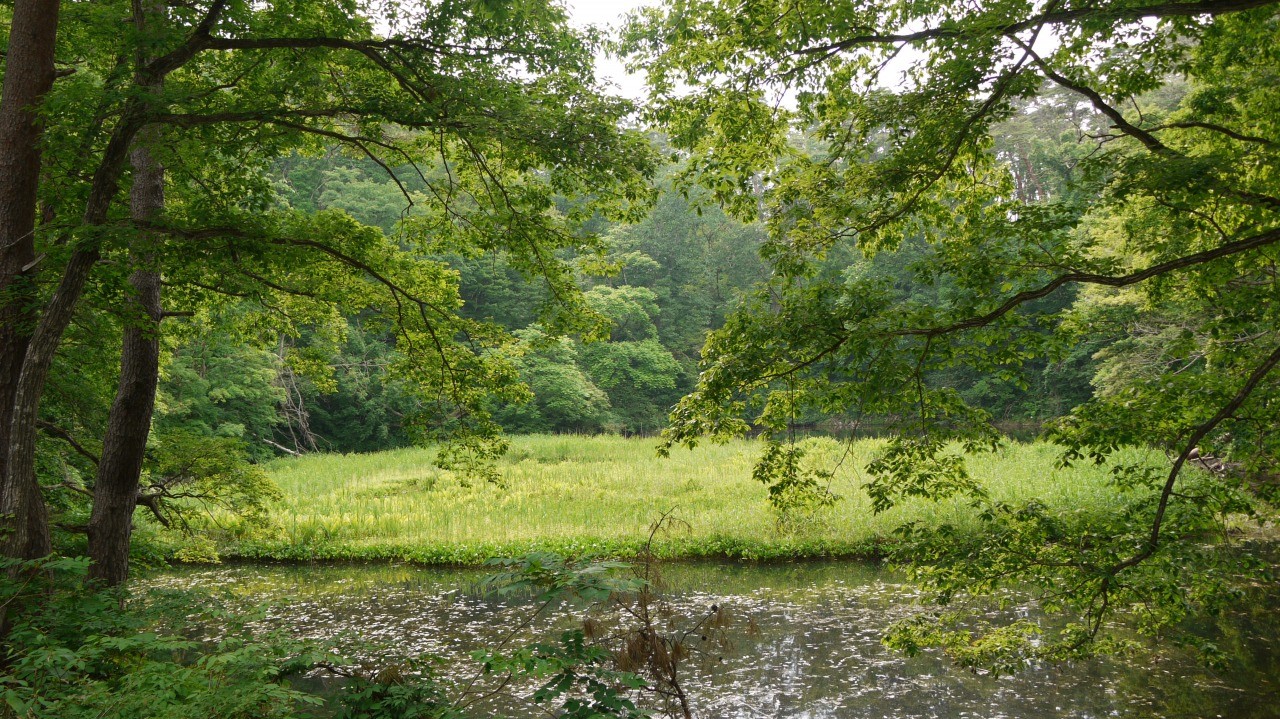 蓋沼森林公園｜東北の観光スポットを探す | 旅東北 - 東北の観光・旅行