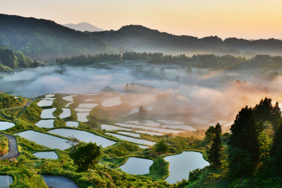 星峠の棚田の四季～移りゆく一年～ | 十日町市観光協会