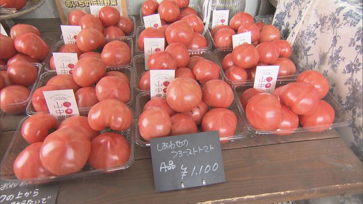 ハウス栽培が旬に…物価高の中でトマトが“値下がり” 卸売価格は去年11月