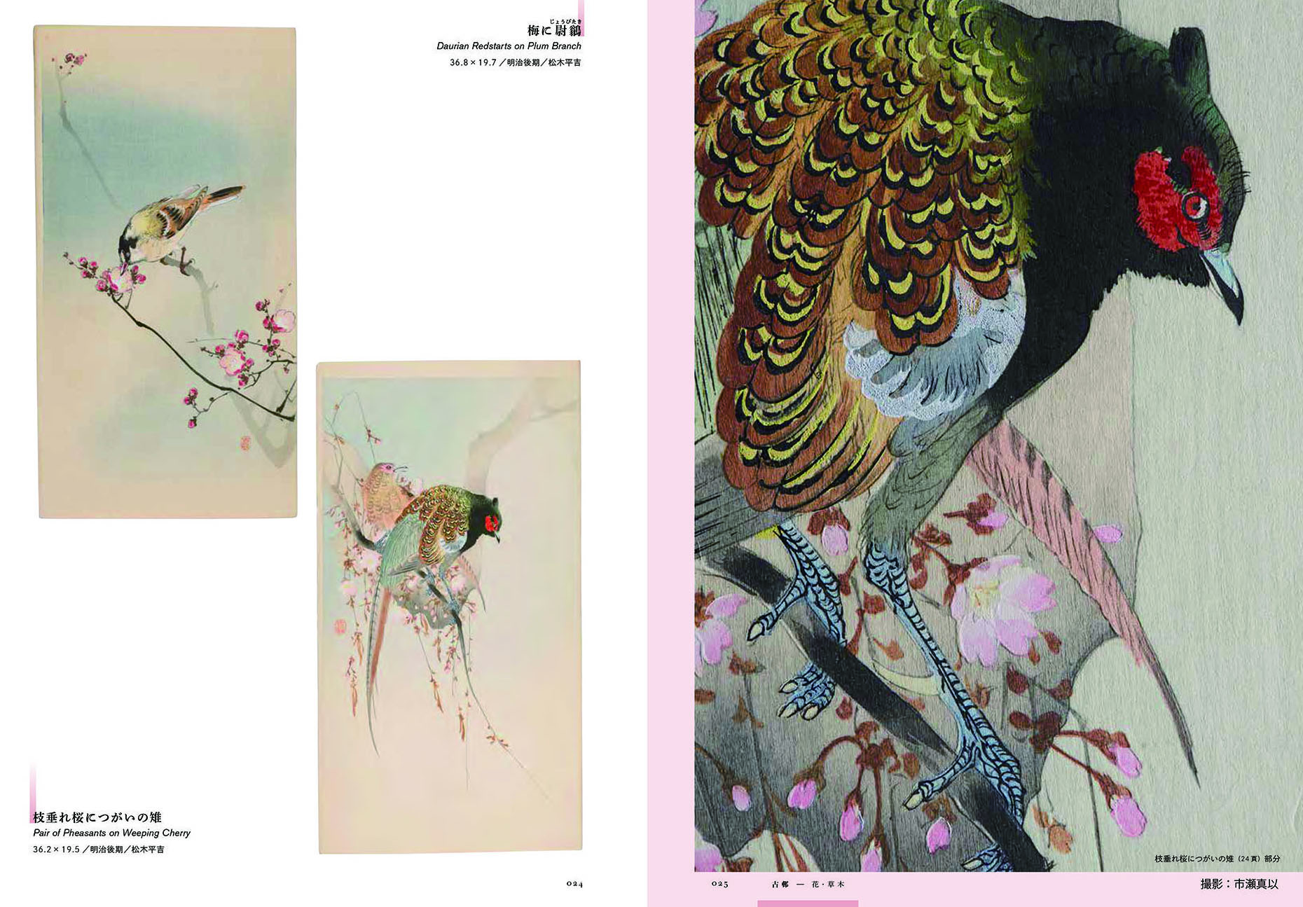 小原古邨作品集 | 東京美術