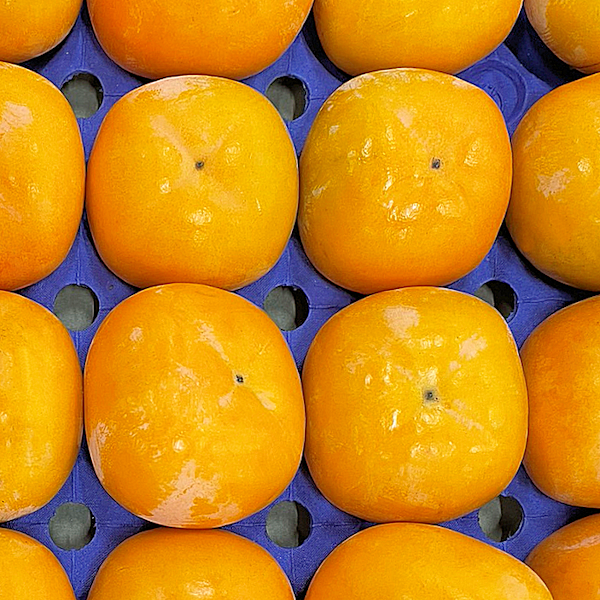 和歌山県・新潟県『たねなし柿』 - 東京青果株式会社