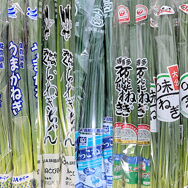 各地『小ねぎ』 - 東京青果株式会社