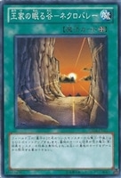 ヴィシュワ・ランディー【遊戯王トレカお買得価格通販：CBトレコロ】