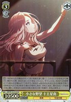 何やってるんだろう、【ヴァイスシュヴァルツトレカお買得価格通販：CB