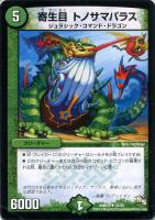 クック・ポロン【デュエルマスターズトレカお買得価格通販：CBトレコロ】