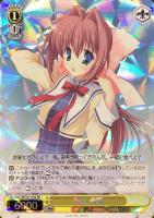 カードを売る/ヴァイスシュヴァルツ/2022年度作品/ヴァイス