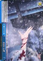 雪の妖精”イリヤ【ヴァイスシュヴァルツトレカ高価買取価格査定：CB