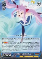 カードを買う/ヴァイスシュヴァルツ/2025年度作品/FAIRY TAIL 100年