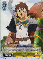 麗しき水の女神”アクア【ヴァイスシュヴァルツトレカお買得価格通販