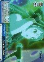 ホラー大好き 小梅【ヴァイスシュヴァルツトレカ高価買取価格査定：CB