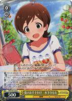 都会の風に吹かれて 白石 紬【ヴァイスシュヴァルツトレカ高価買取価格