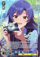 フラワーガール 四条貴音[サイン付]【ヴァイスシュヴァルツトレカお