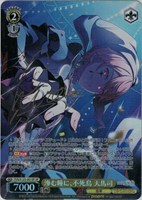 ムキムキになっちゃった！？【ヴァイスシュヴァルツトレカお買得価格