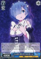 王選候補者 フェルト【ヴァイスシュヴァルツトレカ高価買取価格査定