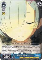 王選候補者 フェルト【ヴァイスシュヴァルツトレカ高価買取価格査定