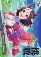 ジンクスに挑むお嬢様 サトノダイヤモンド【ヴァイスシュヴァルツ