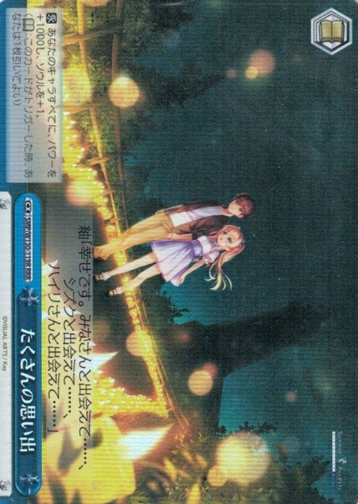 たくさんの思い出【ヴァイスシュヴァルツトレカ高価買取価格査定：CB