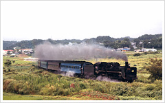祝！ 全通50周年 紀勢本線｜トレたび - 記念列車運転、記念きっぷも